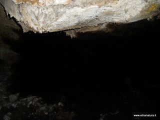 otta Petralia-17-03-2013 10-19-44